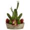 24" Mixed Succulent Plant in Decorative Planter